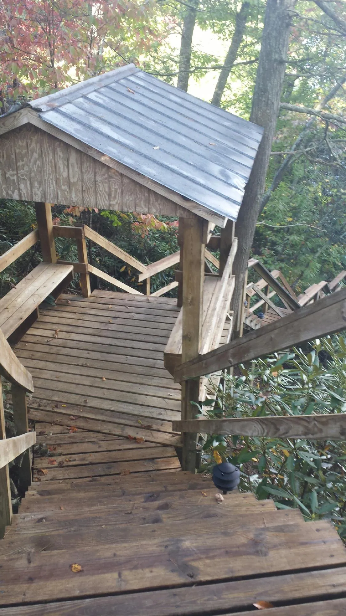Metal roofed shelter over wooden steps on a wooded walkway — Skylight Repair & Installation work by our crew in Walterville