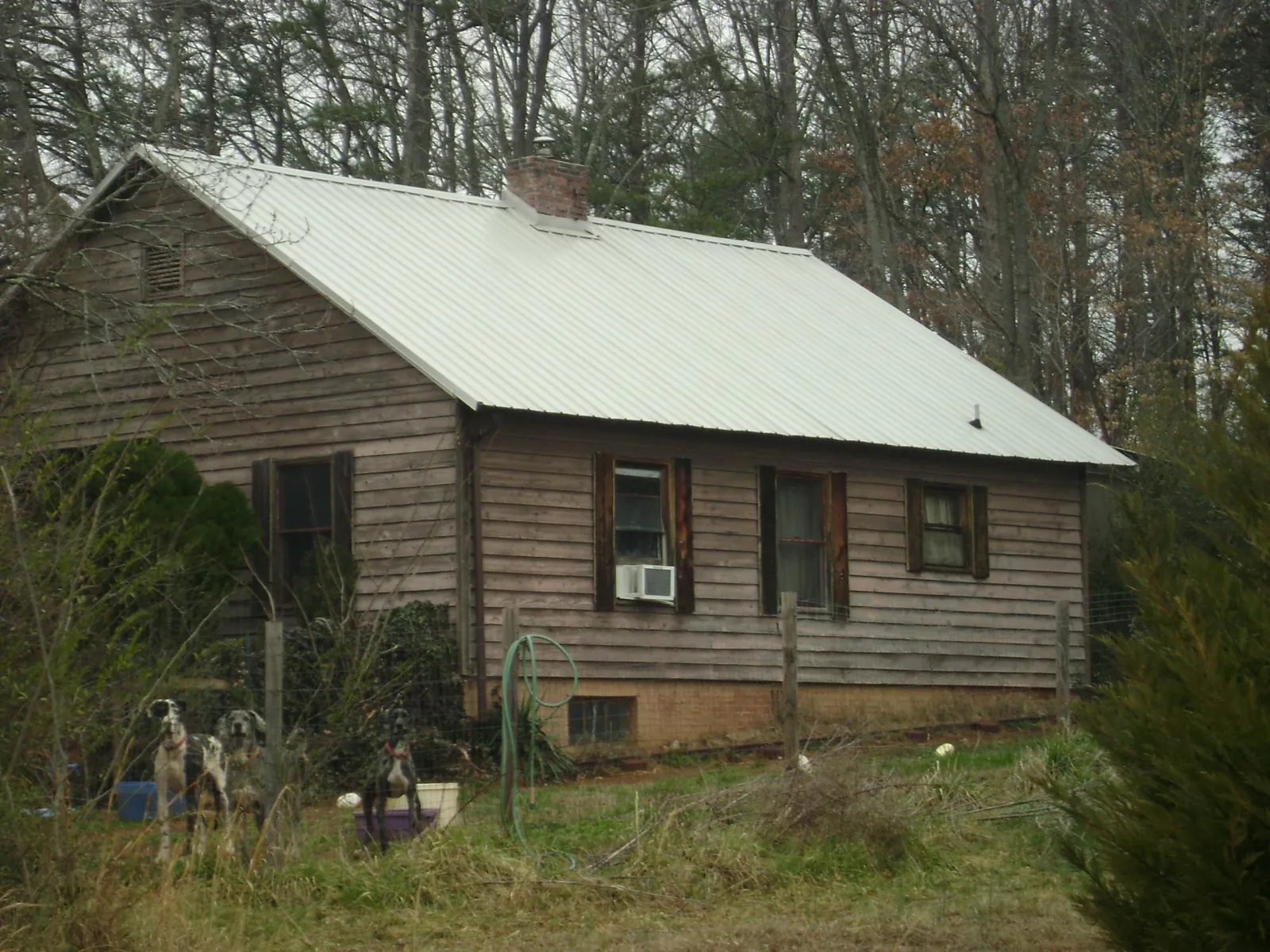White metal roof on an old wood sided farmhouse, from a Metal Roof Installation job in Walterville